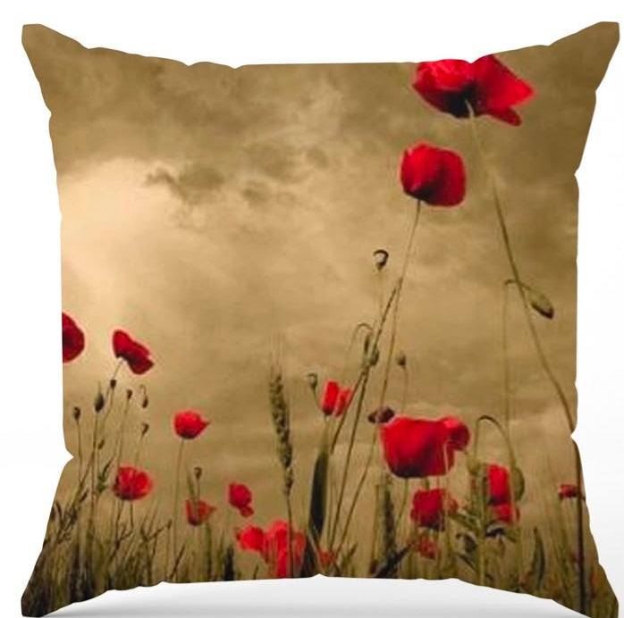 Pack of 2 pack velvet decorative print cushion ( multi )