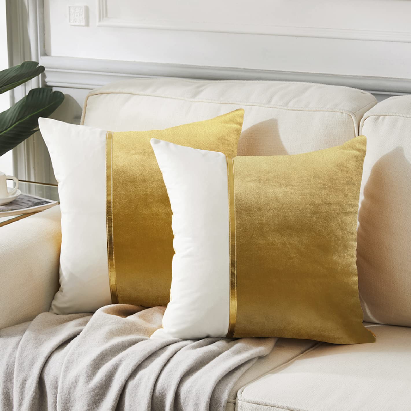 Pack of 2pack velvet decorative cushion ( multi )