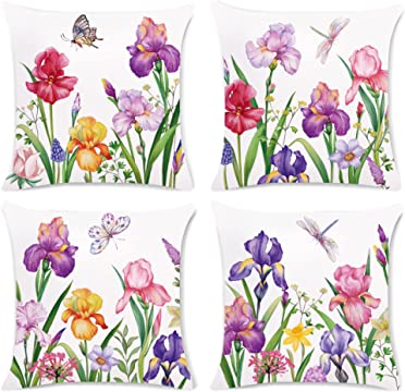 Pack of 4 pack velvet  print cushion  ( multi )