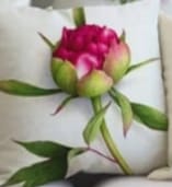 Pack of 2 pack velvet decorative print cushion  ( multi )