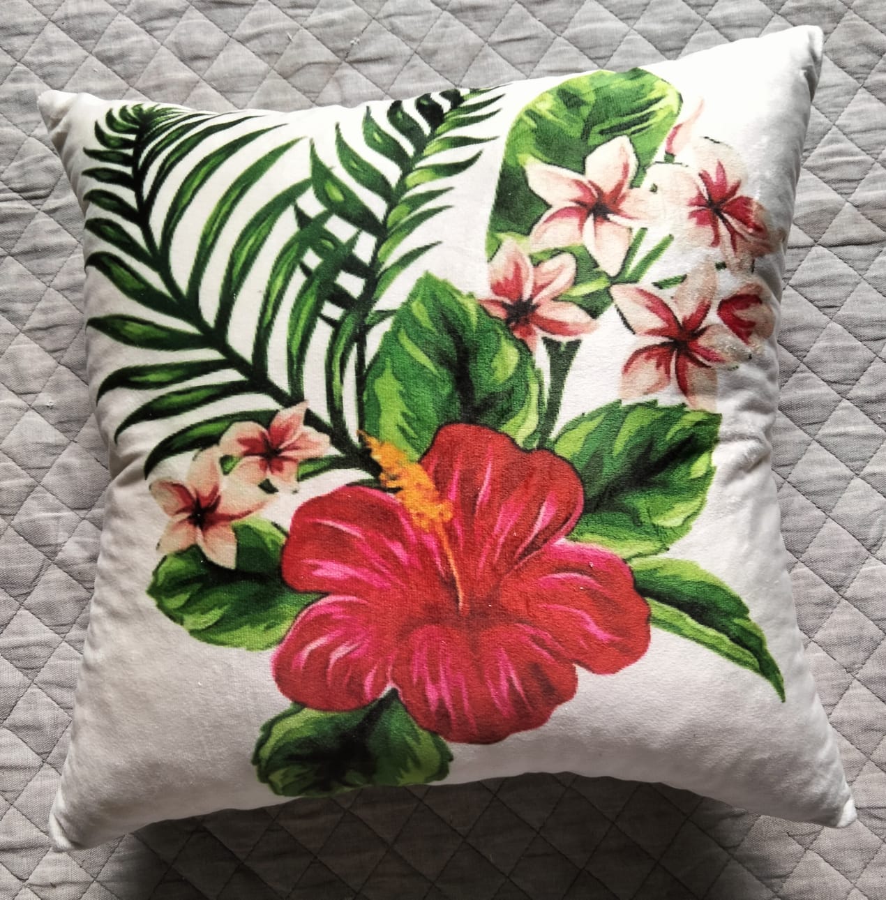 Pack of 2 pack velvet decorative print cushion  ( multi )