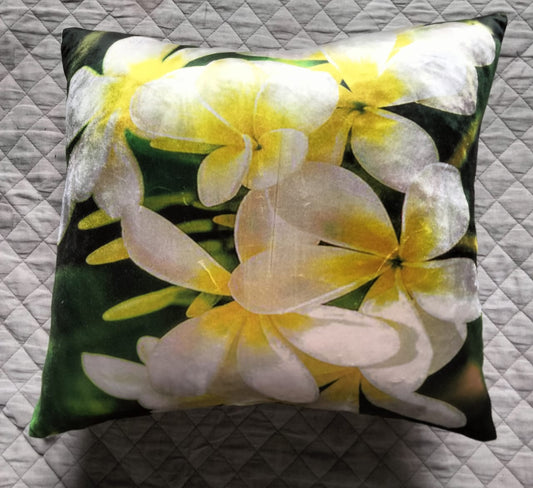 Pack of 2 pack velvet decorative print cushion  ( multi )