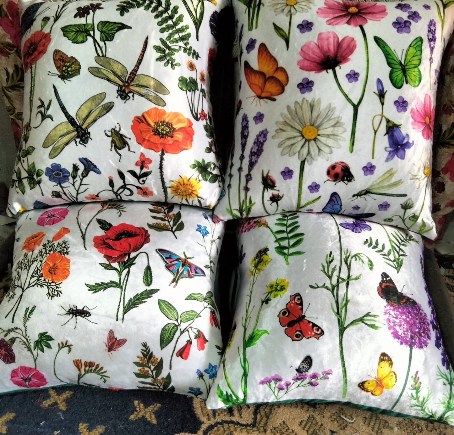 Pack of 4 pack velvet decorative print cushion ( multi )