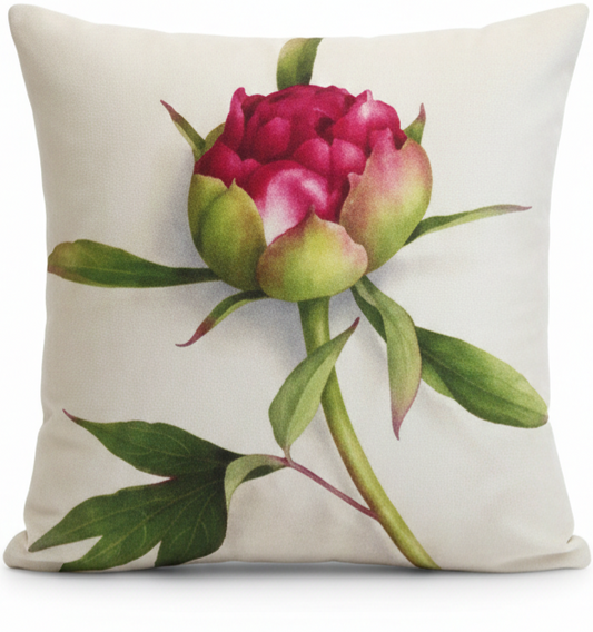 Pack of 2 pack velvet decorative print cushion  ( multi )