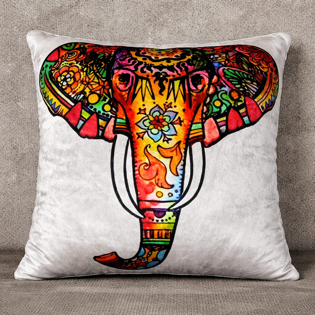 Pack of 2 pack velvet decorative print cushion  ( multi )